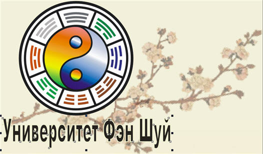 Логотип организации 